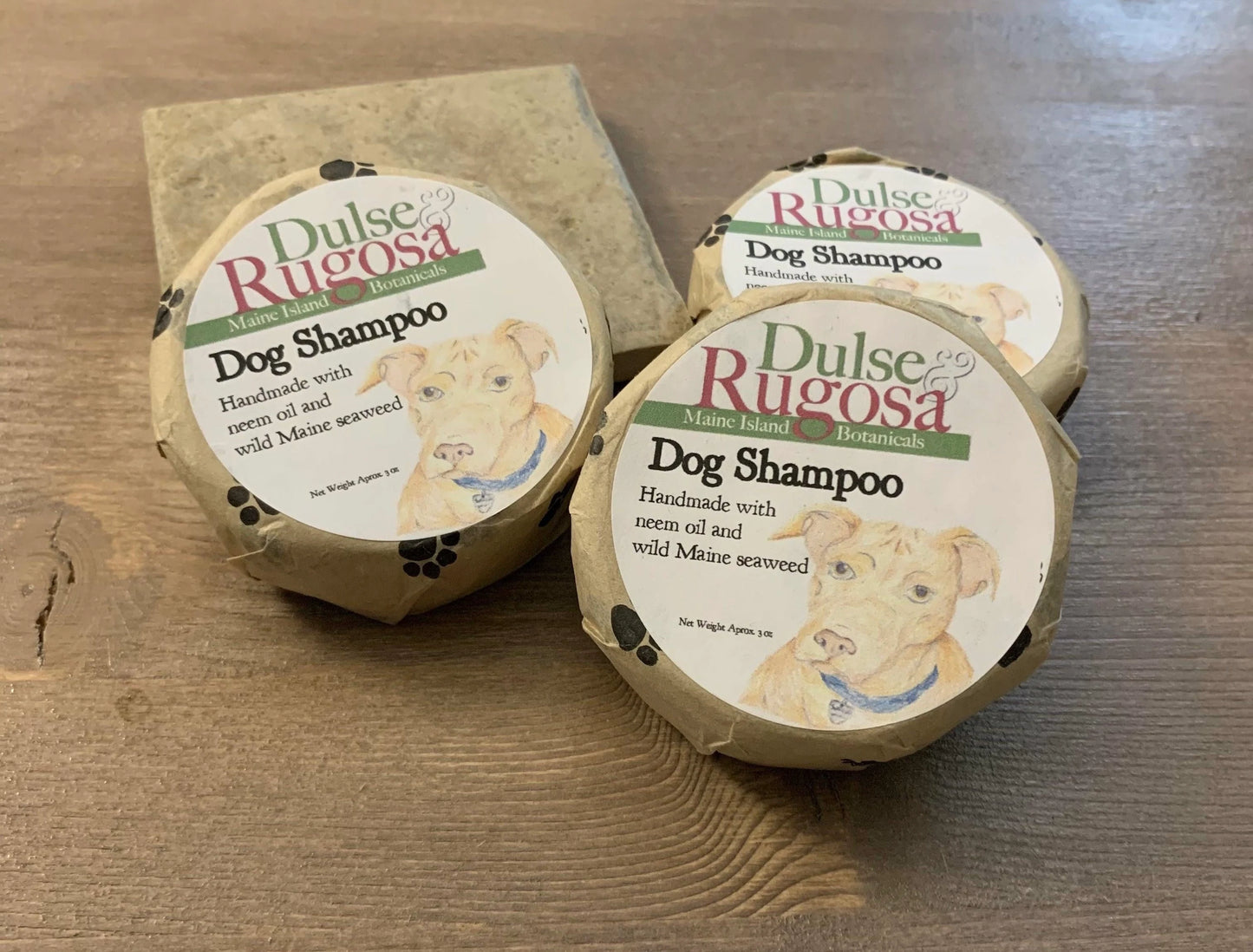 Dulse & Rugosa Zero Waste, Seaweed Rich Dog Shampoo