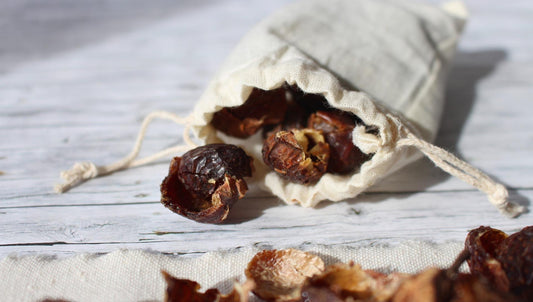 How to Use Soap Nuts as a Natural Laundry Soap, Shampoo and Household Cleaner - Ninth & Pine