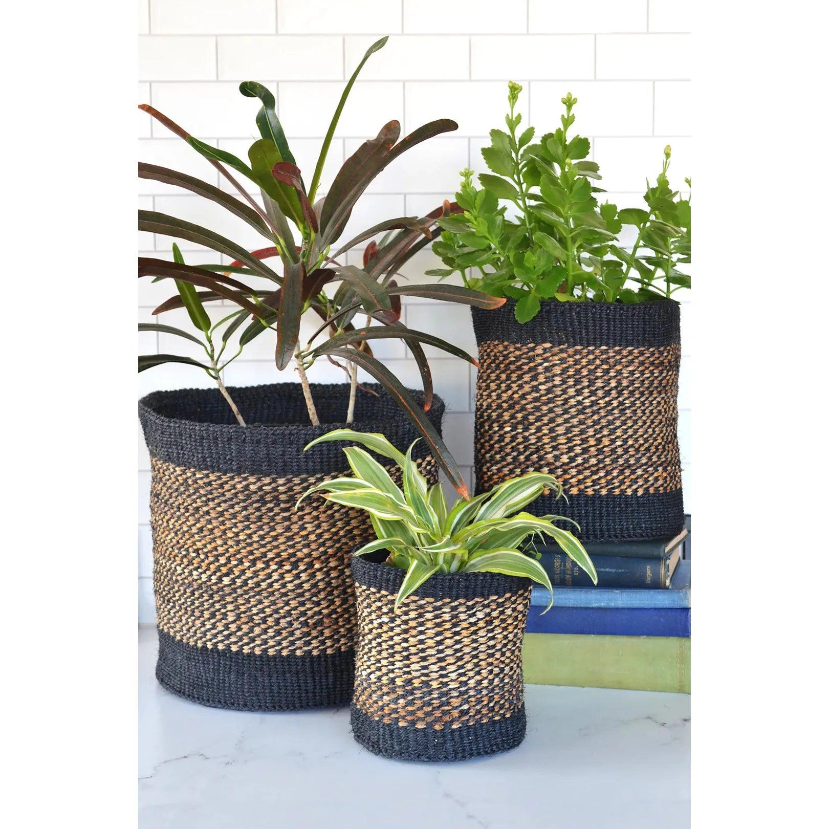 Basket Decor Two-Tone Sisal Basket Set as planters- Ninth & Pine