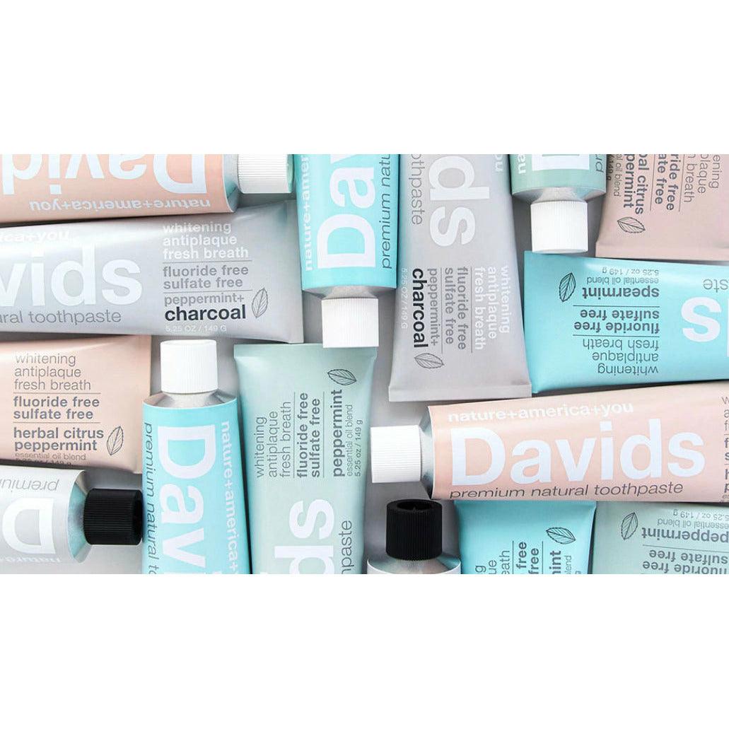 Davids Premium Natural Toothpaste | Spearmint - Ninth & Pine