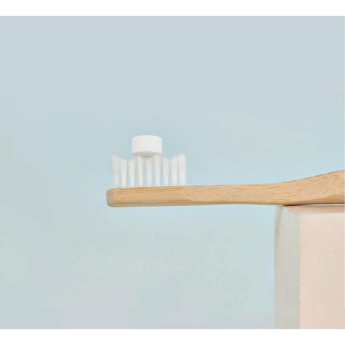 Zero Waste Toothbrush - Ninth & Pine